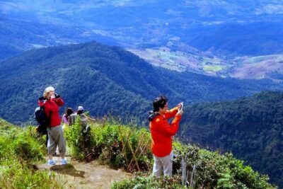 Doi Inthanon National Park with Nature Trail Trekking 1-Day Tour - How the Day Runs: Pickup, Drive Time, and Small-Group Comfort