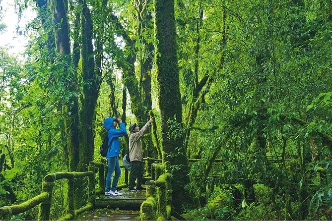 Doi Inthanon Waterfall and Royal Project Chiang Mai - Hilltribe village visit: Karen culture in the real setting