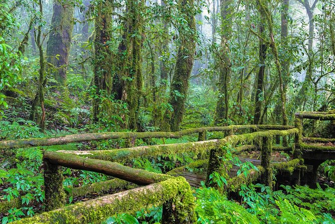 Doi Inthanon Waterfall and Royal Project Chiang Mai - Hmong market + Royal Project stops: what you’re really shopping for