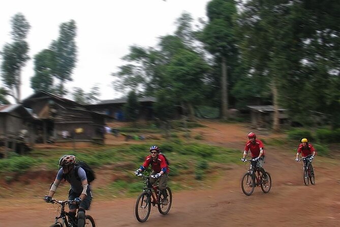 Doi Suthep National Park To Chiang Mai Beginner Downhill Mountain Biking - What happens on the Doi Suthep part (Stop 1)