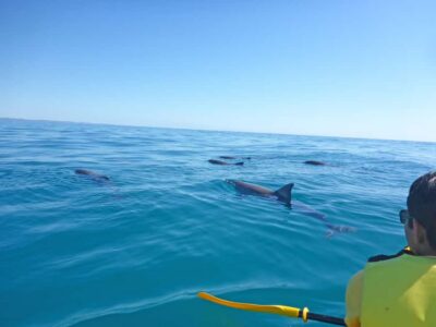 Dolphin Kayak Tour & Beach 4X4 National Park Tour (Private) - Teewah Beach to Double Island Point: the scenery you can’t see fast enough