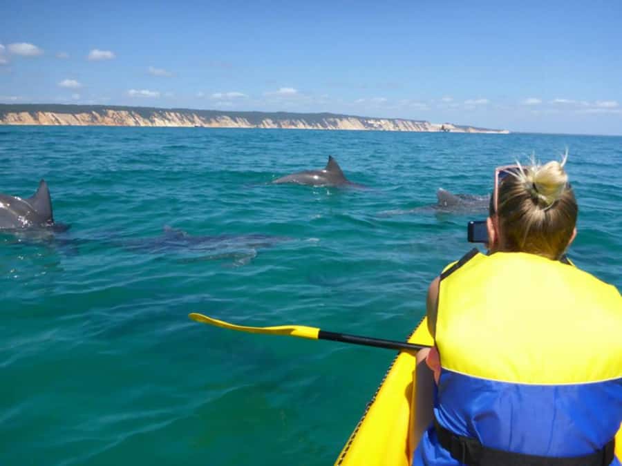 Dolphin Kayak Tour & Beach 4X4 National Park Tour (Private) - A local guide makes the day feel anchored