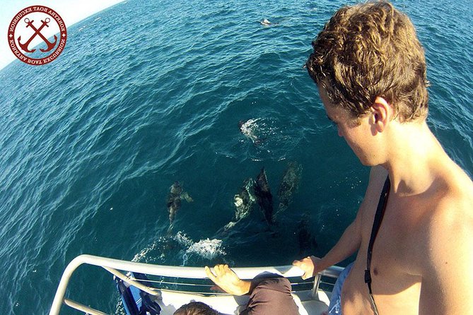 Dolphins Watching in the National Park Brijuni from Pula - Sunset Cruise From Pula: The Simple Game Plan