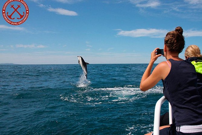 Dolphins Watching in the National Park Brijuni from Pula - Guide Commentary, Binoculars, and the Route Map