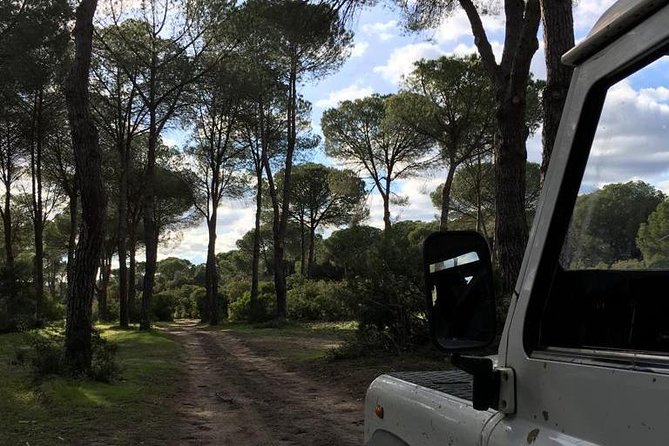 Donana National Park and El Rocío: Guided Tour from Seville - La Puebla del Río and the water story behind the birds