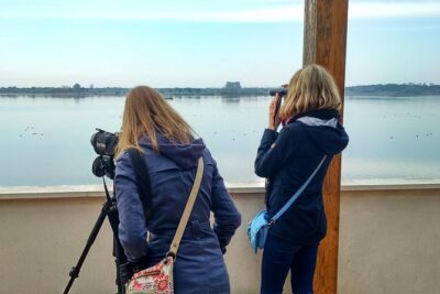 Donana National Park and El Rocío: Guided Tour from Seville - Getting moving from Seville: pickup points and seat reality