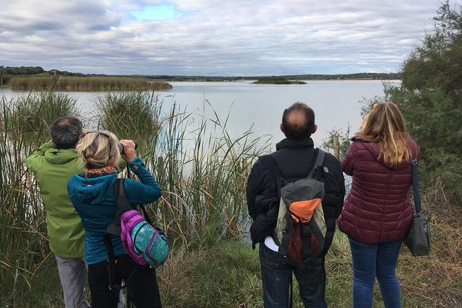 Donana National Park and El Rocío: Guided Tour from Seville - Dehesa de Abajo: storks, olive trees, and constant motion