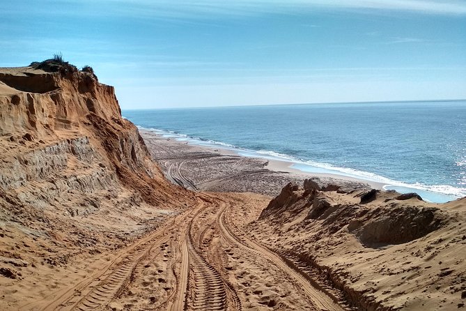 Donana National Park and El Rocío: Guided Tour from Seville - El Rocío: chapel atmosphere and an ornithology lookout