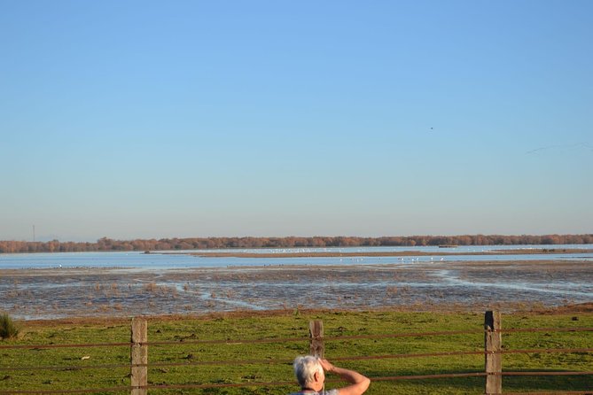 Donana National Park and El Rocío: Guided Tour from Seville - Lunch timing: plan for own expense