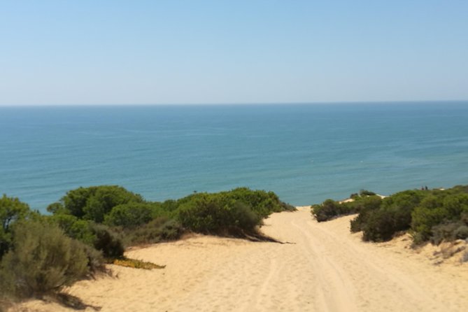 Donana National Park and El Rocío: Private Tour from Seville - Why Doñana and El Rocío work so well together