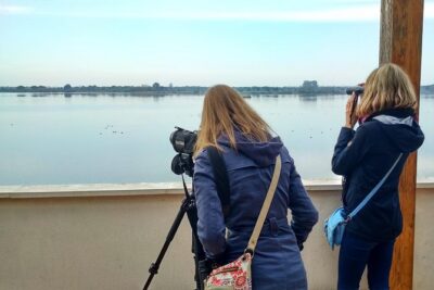 Donana National Park and El Rocío: Private Tour from Seville - Price and logistics: what you’re really paying for