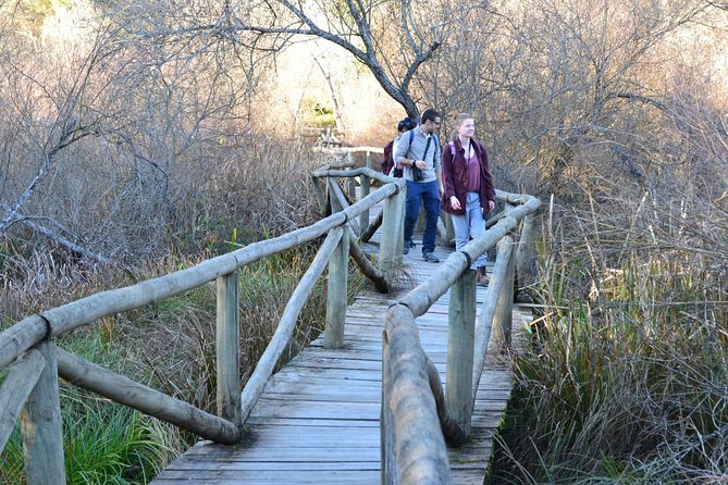 Donana National Park: Guided Day Tour from Seville - Vehicle comfort and hearing tips: small choices that matter