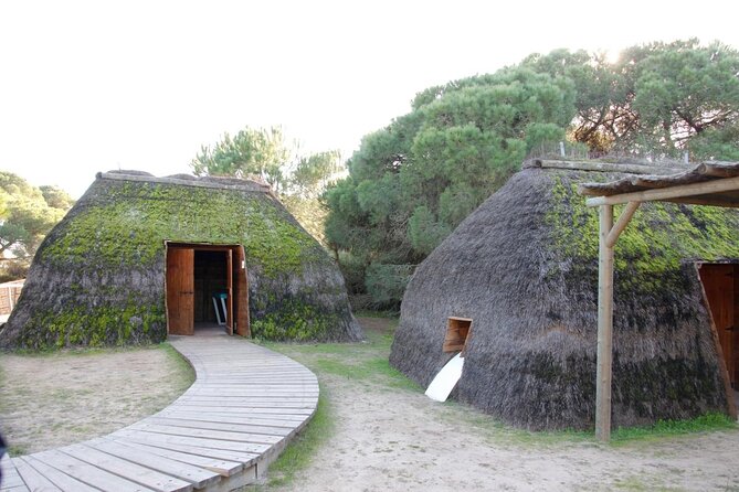 Doñana National Park in 4x4 and El Rocío - Key highlights you’ll remember