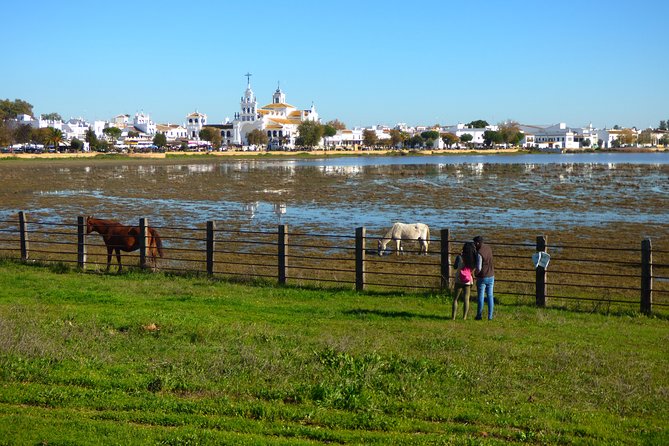 Doñana National Park in 4x4 and El Rocío - Entering Doñana National Park by 4x4: beach, dunes, forest, marshes