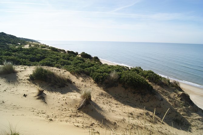 Doñana National Park in 4x4 and El Rocío - El Rocío: the pilgrimage vibe at the gates of Doñana
