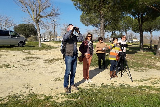Doñana National Park in 4x4 and El Rocío - When the conditions are dry: how to adjust expectations