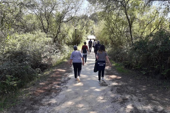 Doñana National Park in 4x4 and El Rocío - Who should book this Doñana day trip