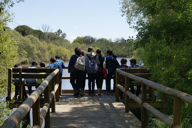 Doñana National Park in 4x4 and El Rocío - The guide experience: how Victor and Jorge make the park click