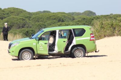 Donana National Park & Matalascanas Guided Tour from Seville - The Matalascañas Beach Stop: Reset Time After the Park