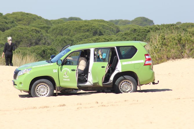 Donana National Park & Matalascanas Guided Tour from Seville - The Matalascañas Beach Stop: Reset Time After the Park