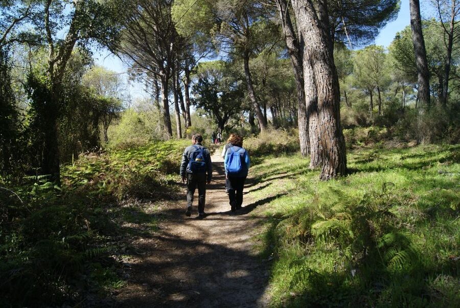 Doñana National Park Off-Road Tour from Seville - Key takeaways before you go
