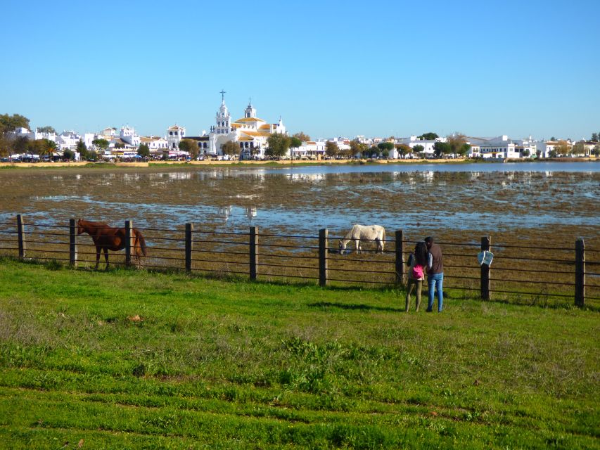 Doñana National Park Off-Road Tour from Seville - What Doñana Off-Road really means (and why it’s worth the effort)