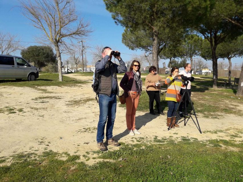Doñana National Park Off-Road Tour from Seville - Entering the protected reserve by 4WD: the heart of the day