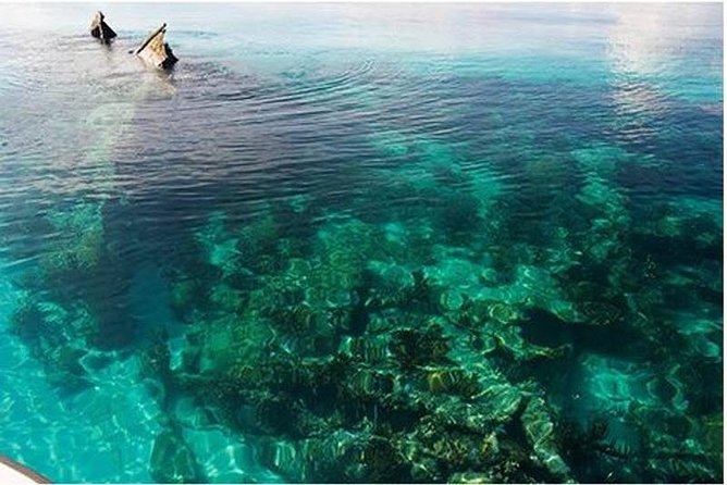 Dry Tortugas National Park Day Trip by Catamaran from Key West - Key Takeaways Before You Go