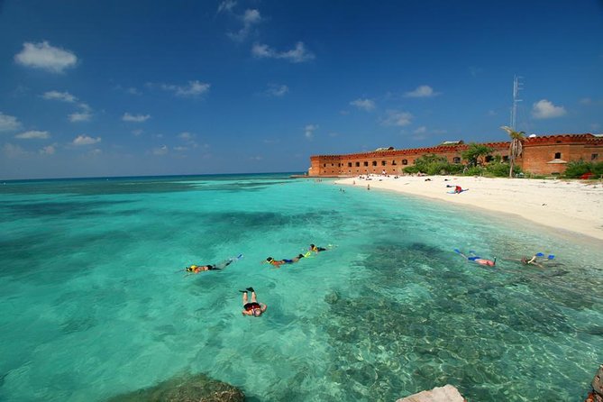 Dry Tortugas National Park Day Trip by Catamaran from Key West - The 7:00 am Start: Getting to the Dock and What the Morning Looks Like