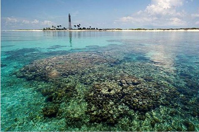 Dry Tortugas National Park Day Trip by Catamaran from Key West - Fort Jefferson: A 45-Minute Tour That Turns Ruins Into Stories