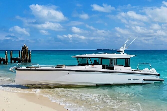 Dry Tortugas National Park Day Trip by Luxury Private Boat - Snorkeling Gear Included: How to Get the Best Use of It