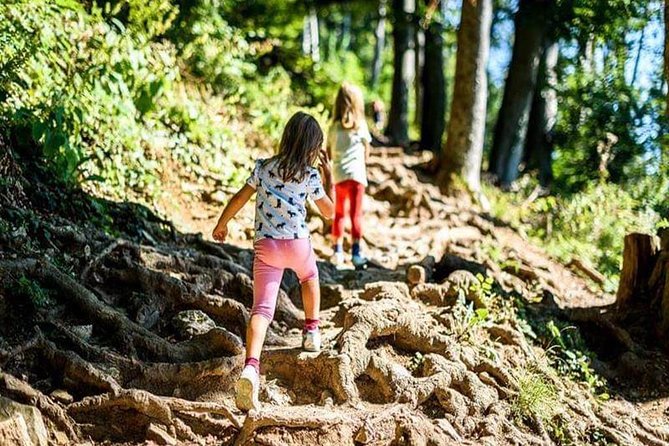 Durmitor National Park hiking tour - easy to moderate - Getting to Zabljak: meeting point and why it matters