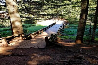 Durmitor National Park hiking tour - easy to moderate - How long this hike really takes (and how to pace yourself)