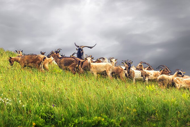 Durmitor National Park hiking tour - easy to moderate - Fitness level: easy-moderate means you’ll still work for it