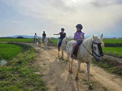 Ebro Delta National Park: Guided Horseback Riding Tour - Price at $43: what you get (and what you don’t)