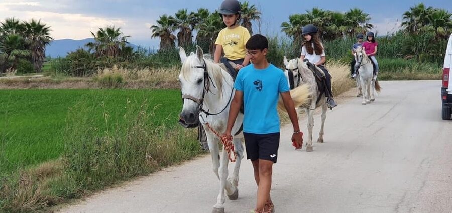 Ebro Delta National Park: Guided Horseback Riding Tour - Who should book this horseback tour (and who should skip it)