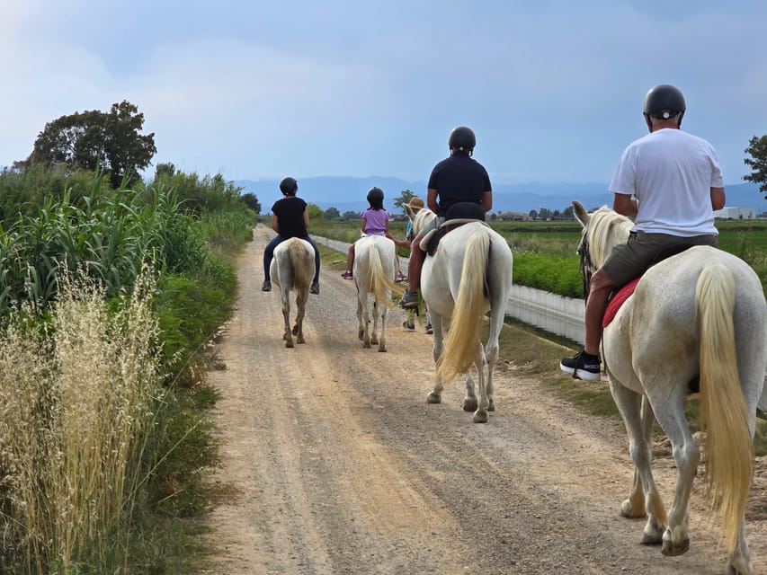 Ebro Delta National Park: Guided Horseback Riding Tour - Should you book Deltanatur’s Ebro Delta horseback tour?