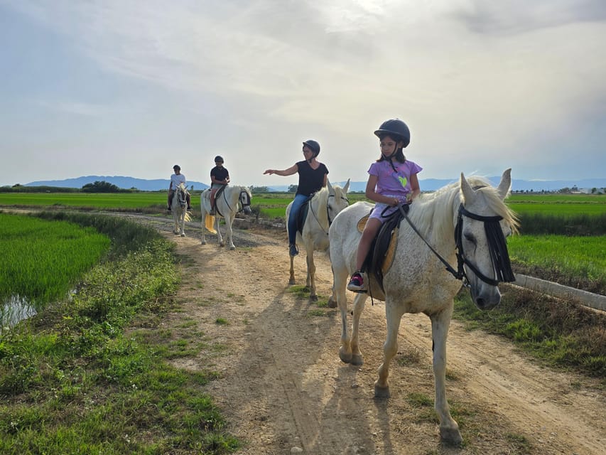 Ebro Delta National Park: Guided Horseback Riding Tour - Price at $43: what you get (and what you don’t)