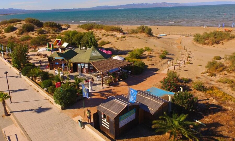 Ebro Delta National Park: Scenic Drive and Kayaking Tour - Riumar Beach and Llacuna del Garxal: where birdwatching becomes the main event