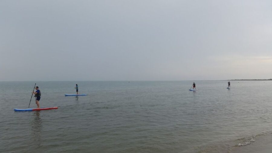 Ebro Delta National Park: Scenic Drive and Kayaking Tour - Isla Margarita and the river mouth: why this ending spot sticks