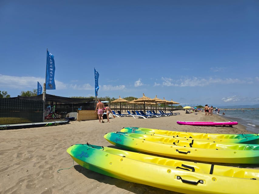 Ebro Delta National Park: Scenic Drive and Kayaking Tour - The best part after you dry off: soft drinks, beer, or wine