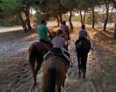 El Rocío: Doñana National Park Horseback Riding Tour - From La Aldea to Doñana Park: Horses First, Nature Second