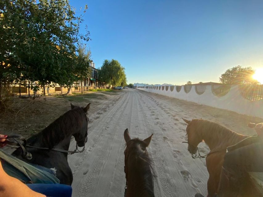 El Rocío: Doñana National Park Horseback Riding Tour - What to Expect Overall: Pace, Terrain, and Comfort