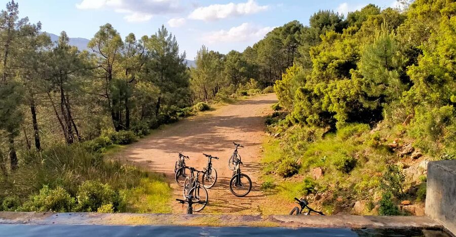 Electric mountain bike in Sierra de las Nieves national park - Price and Value: Is $88 Worth It for 3 Hours?