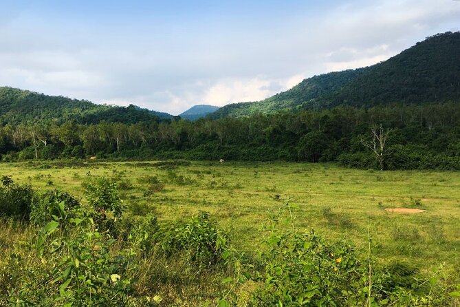 Elephant and Animal Watching in Kuiburi National Park - Join Afternoon Tour - Kuiburi elephant watching, the good kind of expectations