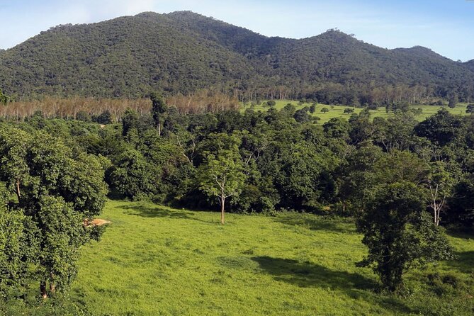 Elephant and Animal Watching in Kuiburi National Park - Join Afternoon Tour - Dry-humid forest and birdwatching: elephants aren’t the only win