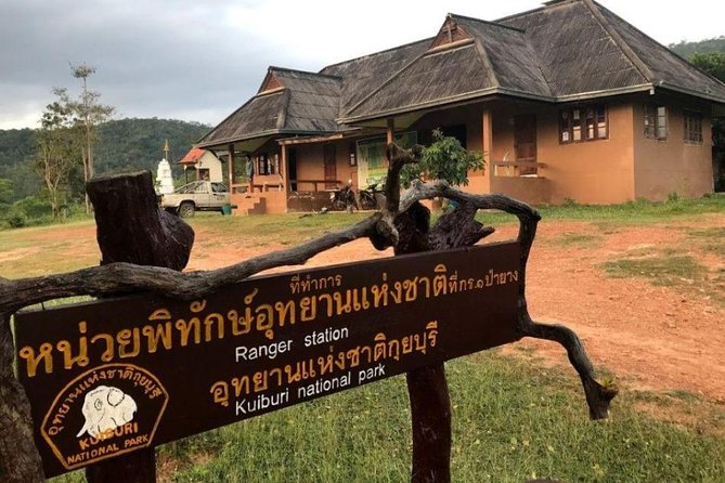 Elephant and Wildlife Watching in Kuiburi National Park - Private Afternoon Tour - Price and value: is $145.10 a good deal?
