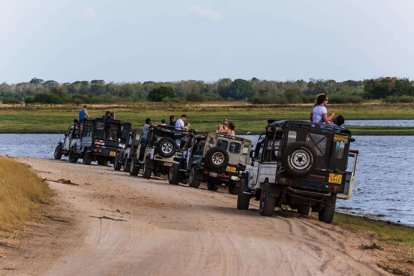 Elephant Jeep Safari at Minneriya National Park - Getting picked up: Sigiriya, Inamaluwa, Avudangawa, or Habarana