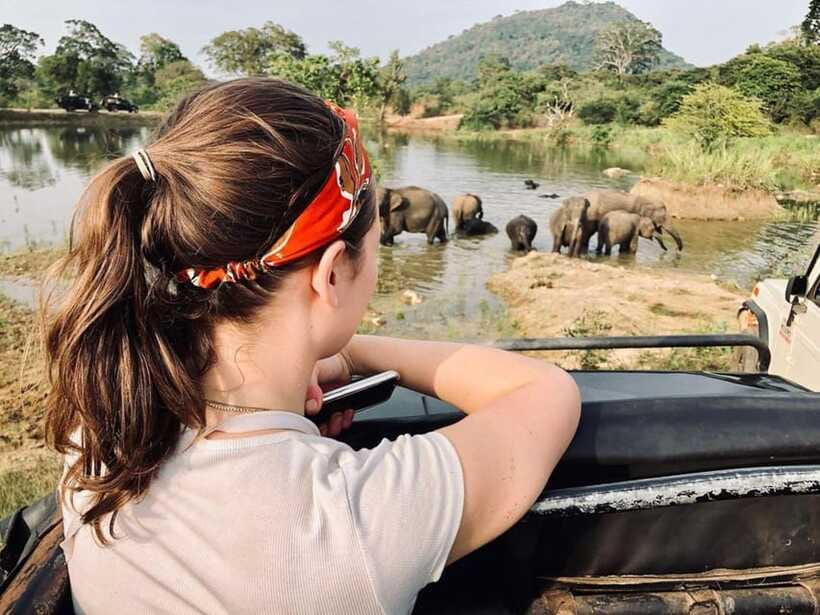 Elephant Kingdom Safari – Minneriya National Park - Conservation and Education: What the Guide Adds Beyond Spotting
