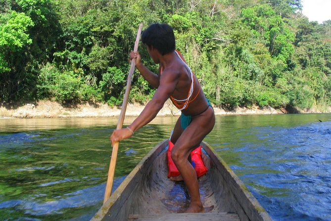 Embera Experience at the Chagres National Park - Riding the piragüa on jungle water: timing, animals, and a pro tip